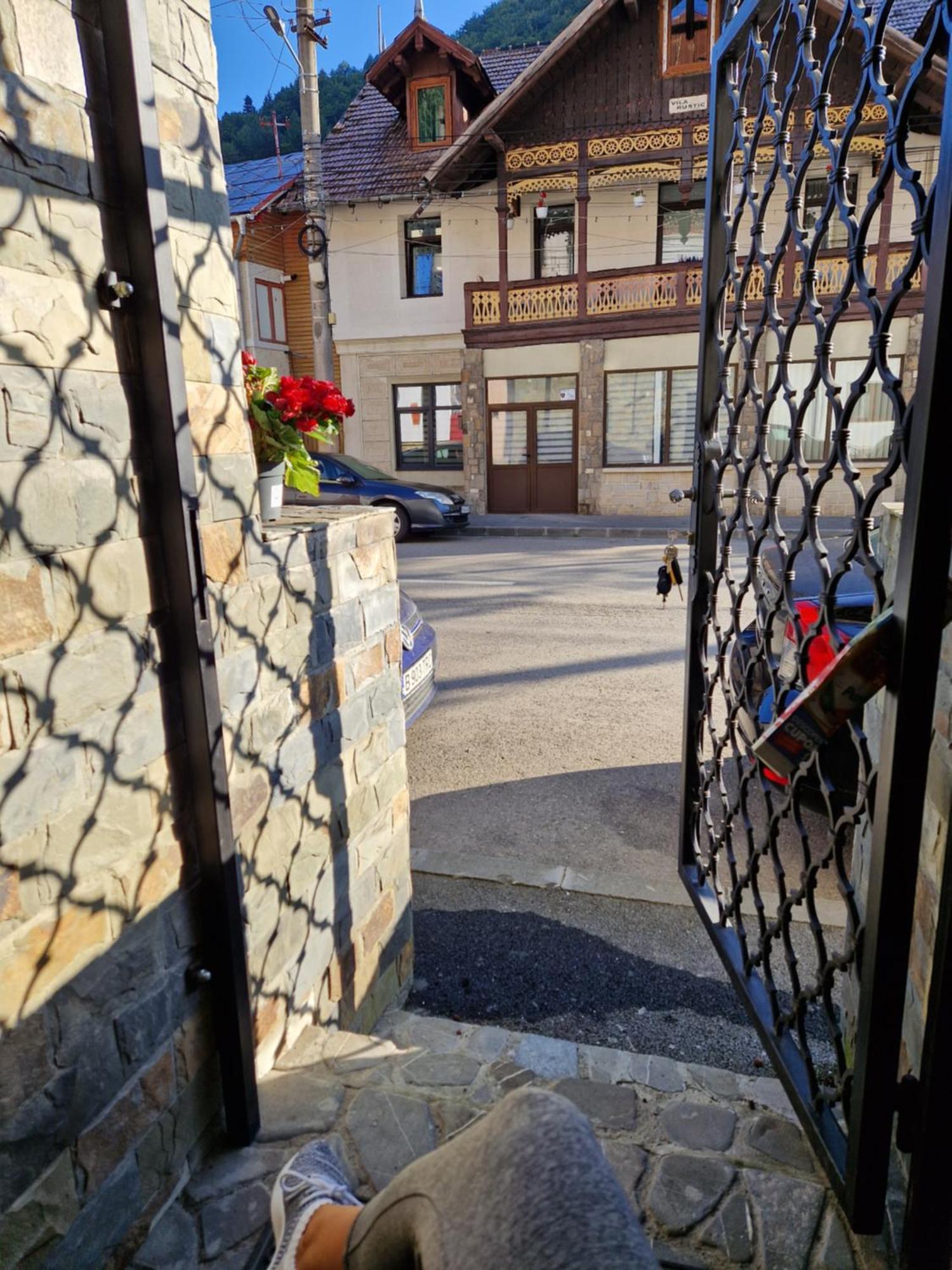 Sinaia Veche别墅 外观 照片